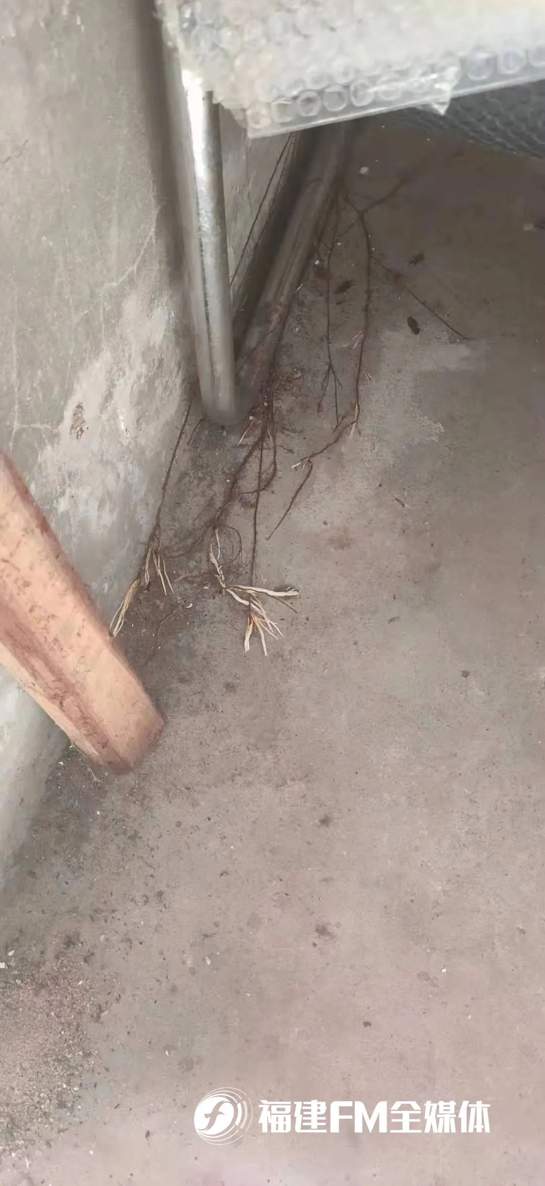 DƬ